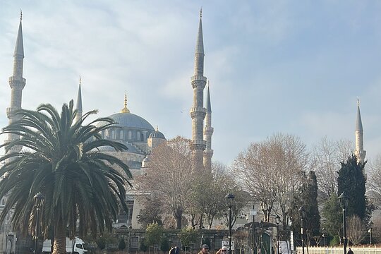 Tour image 6